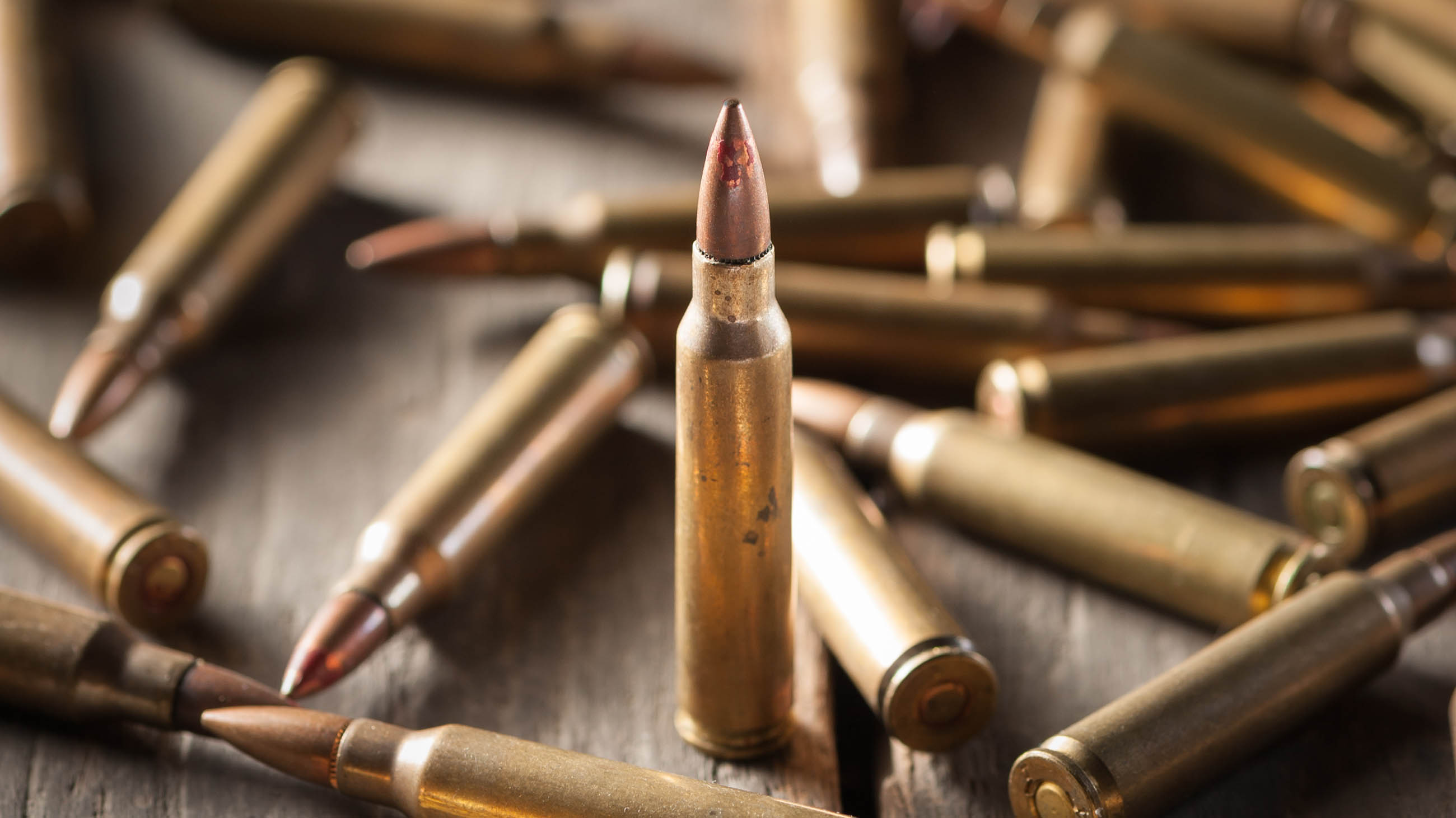 A Comprehensive Guide to the Best Hunting Bullets For Sport Hunting