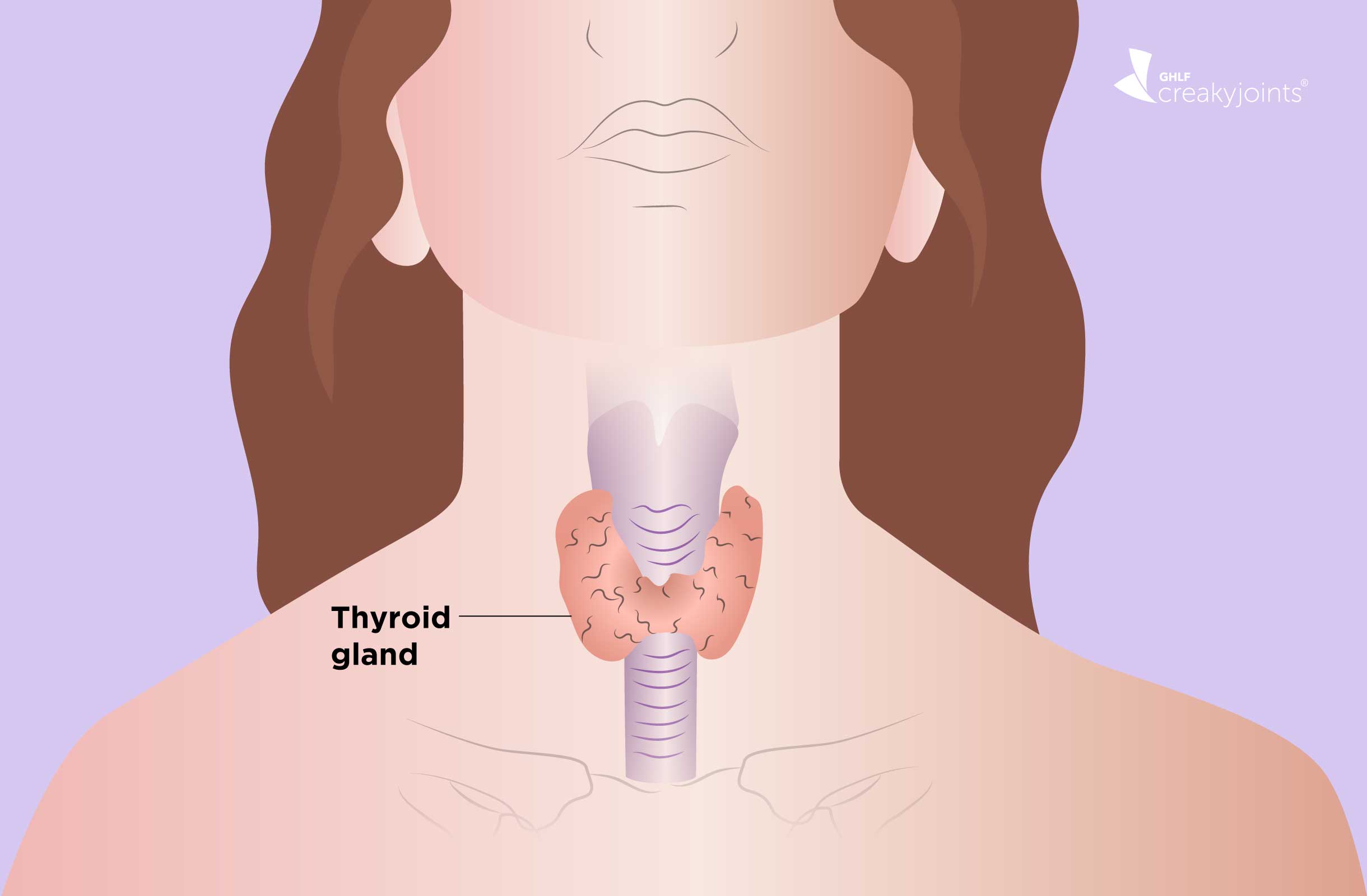Common Thyroid Disorders, Symptoms, Treatment And All