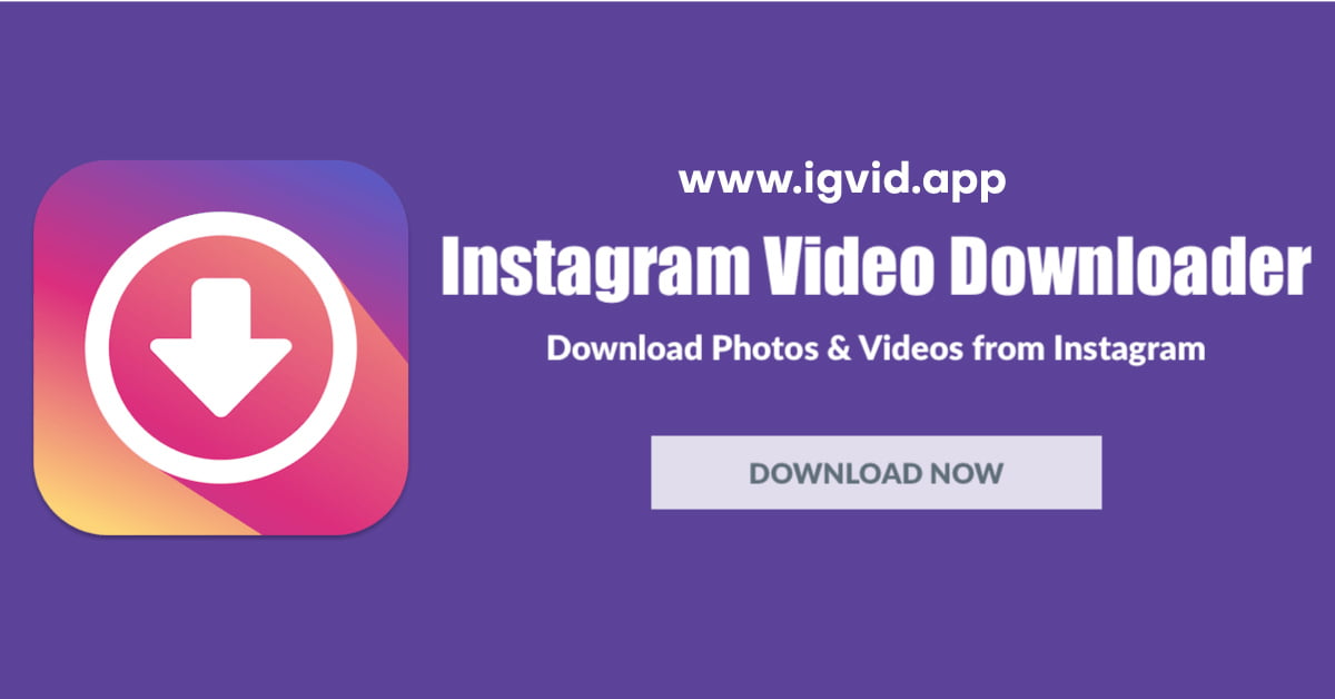 igvid instagram video downloader