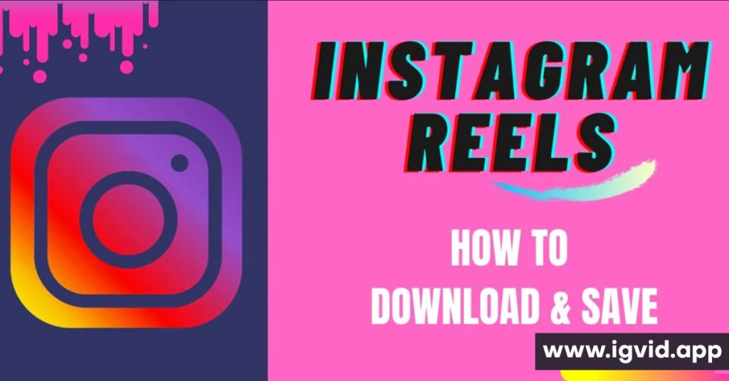 igvid.app instagram reels downloader