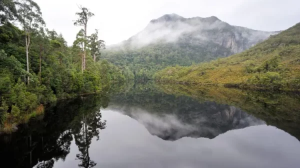 Discovering the Rugged Beauty of Tasmania’s Wilderness